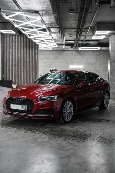 Полировка автомобиля Audi A5, фото 4